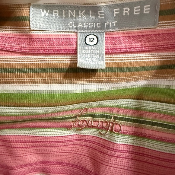 Foxcroft Pink and Green Striped Non Iron Wrinkle Free Button Down Shirt - Picture 2 of 3